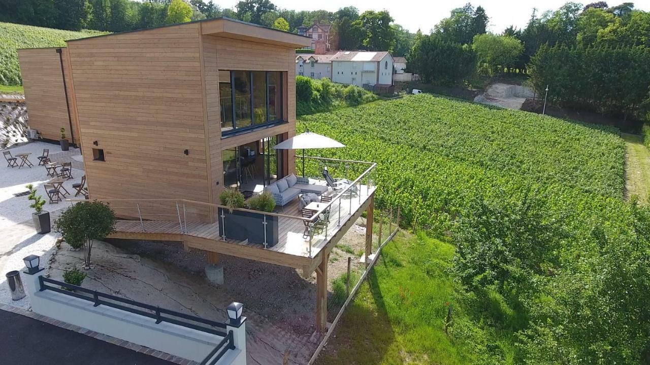 Cottages Antoinette Chigny-les-Roses Zewnętrze zdjęcie